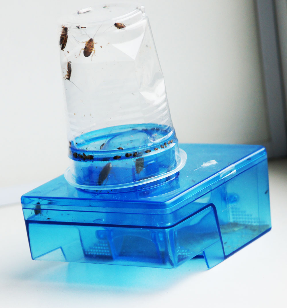 Фотография многоразовой ловушки для тараканов &quot,Лабиринт&quot,