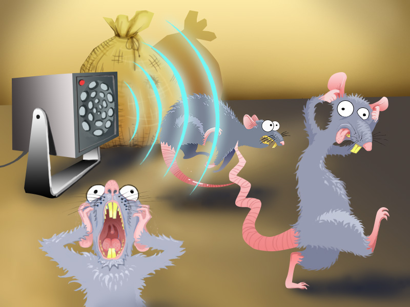 Действие ультразвука на крыс и мышей: домашние отпугиватели | buzzbabble