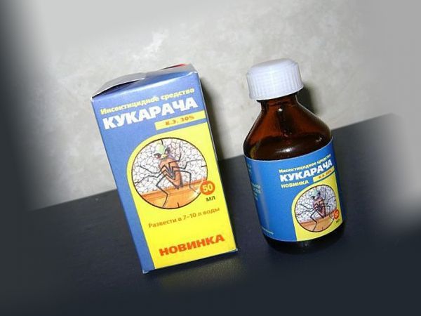 Кукарача - надежный препарат от личинок блох
