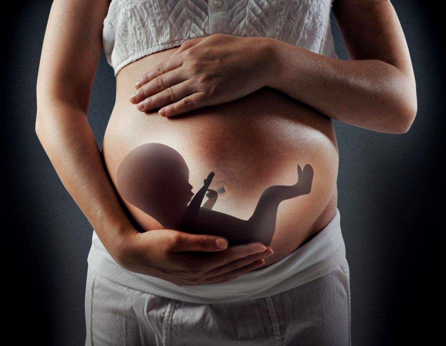 Какую роль играет прогестерона во время беременности?