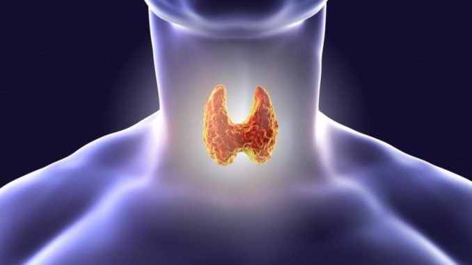 Гормоны щитовидной железы и их роль при поликистозе яичников