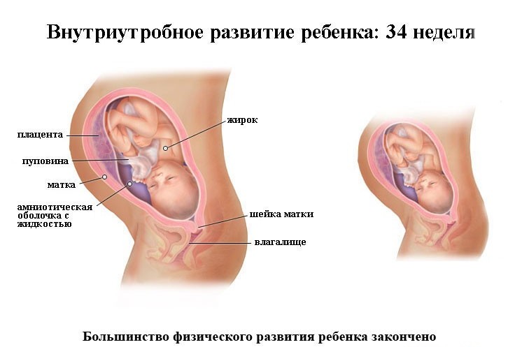 Развитие ребенка на 34 неделе беременности