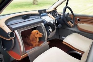 перевозка собак в машине