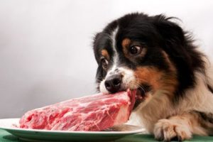 сколько мяса нужно собаке