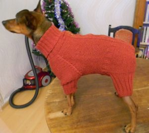 материалы для вязания одежды маленьким собакам