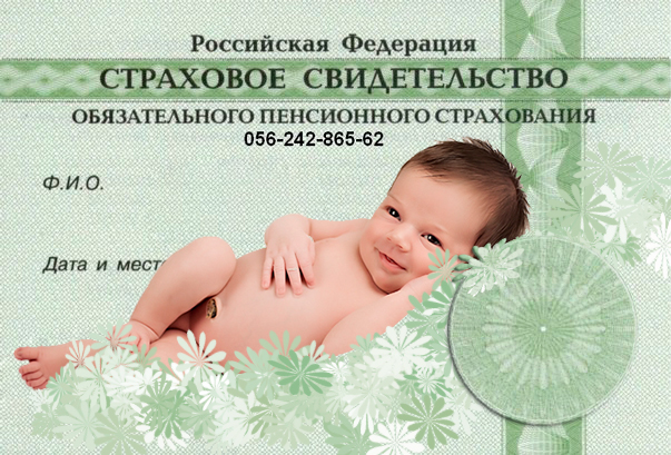 Порядок оформления документов на новорожденного ребенка