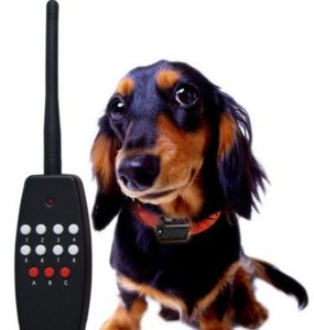 электронные ошейники для маленьких собак