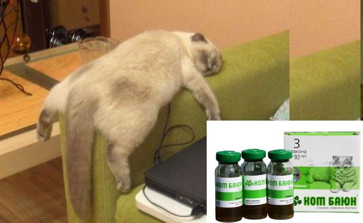 Стоимость капель кот Баюн: от 103 до 160 рублей, таблеток – 100-130р.