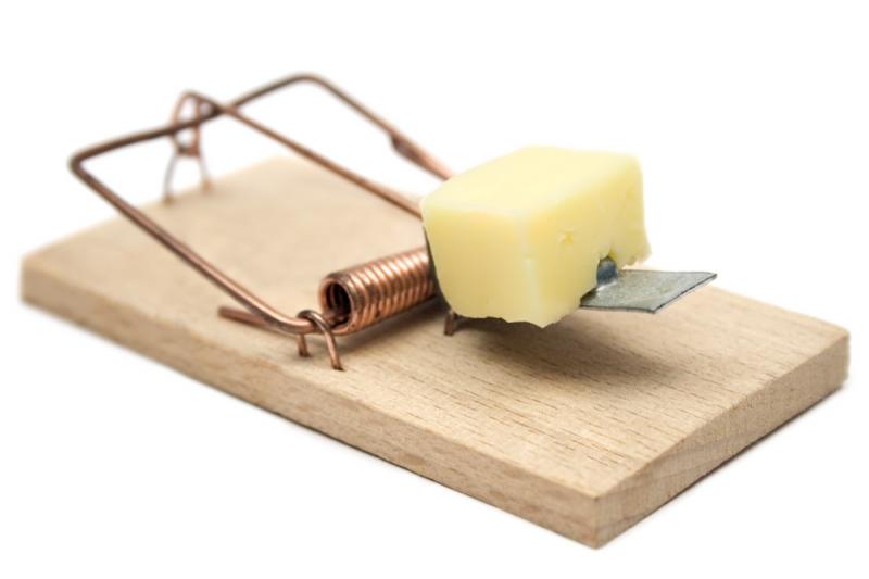 Фото мышеловки с сыром