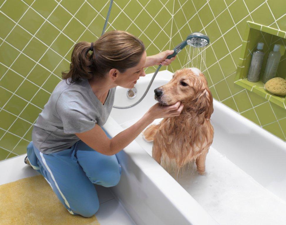 Девушка купает собаку в ванной