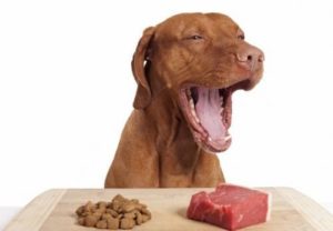 питание собаки натуральным кормом