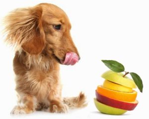 натуральные витамины в рационе собак