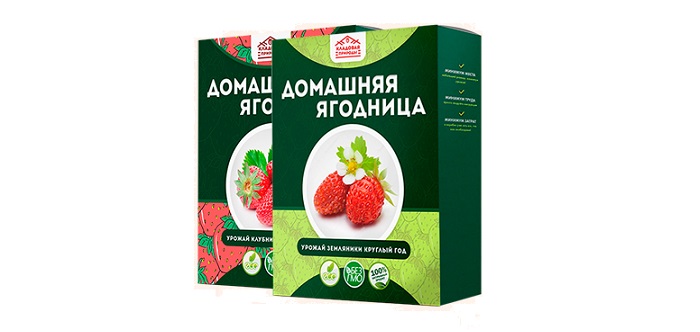 Домашняя ягодница &quot,Кладовая природы&quot, для выращивания клубники: до 10 кг в месяц с каждого куста!