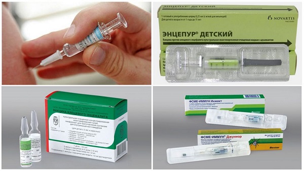 Прививка от клещевого энцефалита схема и польза вакцинации