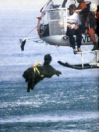 ньюфаундленд собака спасатель на воде