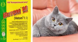 Лечение кошек ветомом