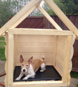 строительство деревянной будки для собаки