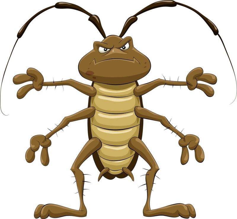 Своеобразное изображение таракана на рисунке