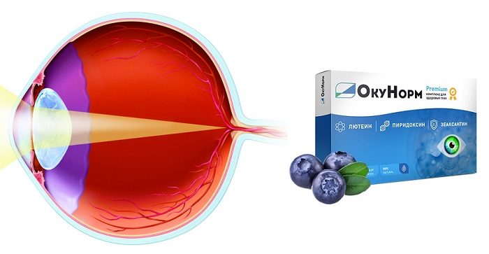 Окунорм для зрения: всего за 1 курс устранит любые глазные проблемы!