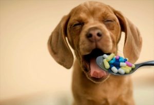таблетки от глистов для собак