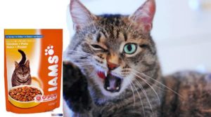 Ямс (IAMS) — корм для кошек без красителей и консервантов