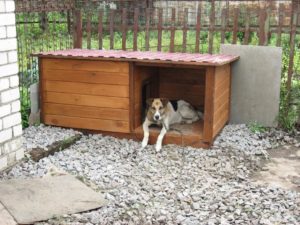 будка для собаки требования к расположению