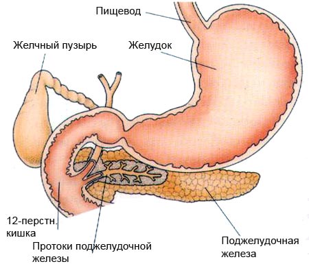 схема заболевания хронического панкреатита