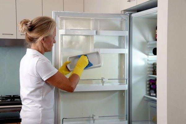 Мыть холодильник можно химическими средствами