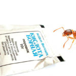 Борная кислота, как средство против муравьев